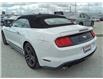 2022 Ford Mustang EcoBoost Premium (Stk: WM0020) in Brandon - Image 8 of 20