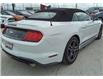 2022 Ford Mustang EcoBoost Premium (Stk: WM0020) in Brandon - Image 10 of 20