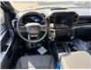 2025 Ford F-150 STX (Stk: 256333) in Vancouver - Image 8 of 10