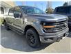 2025 Ford F-150 XLT (Stk: 256447) in Vancouver - Image 3 of 9