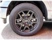 2025 Ford F-150 STX (Stk: 250486) in Toronto - Image 19 of 23