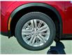 2025 Mitsubishi Outlander PHEV SE (Stk: WM0013) in Brandon - Image 19 of 20