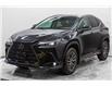 2023 Lexus NX 250 Base (Stk: 003849P) in Brampton - Image 1 of 11
