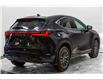 2023 Lexus NX 250 Base (Stk: 003849P) in Brampton - Image 6 of 11
