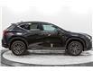 2023 Lexus NX 250 Base (Stk: 003849P) in Brampton - Image 7 of 11