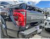 2025 Ford F-150 Raptor (Stk: S-371) in Calgary - Image 11 of 25