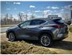 2022 Lexus NX 350h Base (Stk: 250792A) in Calgary - Image 4 of 23