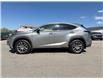2020 Lexus NX 300 Base (Stk: P25-029) in Vernon - Image 3 of 24
