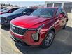 2025 Cadillac XT4 Premium Luxury (Stk: 25236) in Rouyn-Noranda - Image 1 of 4