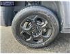 2023 Jeep Compass Trailhawk (Stk: 557238) in Langley BC - Image 6 of 25