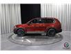 2023 Kia Telluride X-Pro (Stk: 24849) in Edmonton - Image 2 of 31