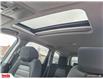 2019 Honda CR-V EX (Stk: N119702A) in Saint John - Image 13 of 28