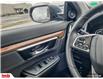 2019 Honda CR-V EX (Stk: N119702A) in Saint John - Image 20 of 28
