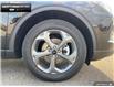 2025 Ford Escape ST-Line (Stk: 5EC7841) in Brantford - Image 6 of 23