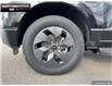 2025 Ford F-150 Lightning Lariat (Stk: 5F108415) in Brantford - Image 6 of 23