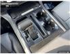 2025 Ford F-150 Lightning Lariat (Stk: 5F108415) in Brantford - Image 16 of 23