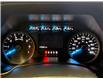 2020 Ford F-150 XLT (Stk: U13246) in Shellbrook - Image 13 of 23