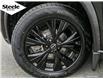 2023 Nissan Rogue SV Midnight Edition (Stk: N353929A) in Dartmouth - Image 6 of 29