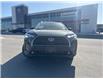 2025 Toyota Corolla Cross XLE (Stk: V131267) in Cranbrook - Image 8 of 22
