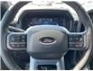 2025 Ford F-150 XLT (Stk: VF1F00675) in Chatham - Image 14 of 21