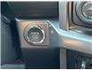 2025 Ford F-150 XLT (Stk: VF1F00675) in Chatham - Image 18 of 21