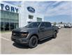 2025 Ford F-150 XLT (Stk: VF1F00675) in Chatham - Image 21 of 21