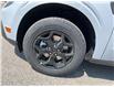 2025 Ford F-150 Lightning Flash (Stk: VF1F00791) in Chatham - Image 7 of 18