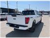 2025 Ford F-150 STX (Stk: VF1F00826) in Chatham - Image 4 of 19