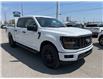 2025 Ford F-150 STX (Stk: VF1F00826) in Chatham - Image 5 of 19