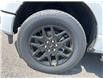 2025 Ford F-150 STX (Stk: VF1F00826) in Chatham - Image 7 of 19