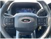2025 Ford F-150 STX (Stk: VF1F00826) in Chatham - Image 14 of 19