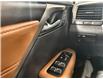 2021 Lexus RX 350 Base (Stk: 11U3876) in Markham - Image 18 of 38