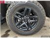 2023 Chevrolet Silverado 1500 Custom Trail Boss (Stk: AU5671) in Thunder Bay - Image 6 of 25