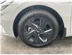2023 Hyundai Elantra Preferred (Stk: 250398) in Ottawa - Image 21 of 21