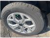 2025 Jeep Compass North (Stk: 25052) in Oak Bay - Image 6 of 9