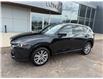 2022 Mazda CX-5 Signature (Stk: 24385) in Pembroke - Image 13 of 41