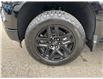 2025 Chevrolet Silverado 1500 RST (Stk: TS201345) in Caledonia - Image 10 of 82