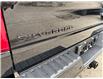 2025 Chevrolet Silverado 1500 RST (Stk: TS201345) in Caledonia - Image 17 of 82