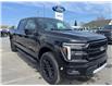 2025 Ford F-150 Lariat (Stk: 25074) in Espanola - Image 14 of 19