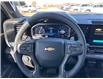 2025 Chevrolet Silverado 1500 High Country (Stk: 13794) in Roblin - Image 17 of 20