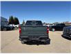2025 Chevrolet Silverado 1500 LT Trail Boss (Stk: 13739) in Roblin - Image 6 of 18