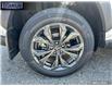 2025 Toyota RAV4 Hybrid XLE (Stk: 281308) in Langley BC - Image 6 of 25