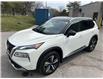 2021 Nissan Rogue Platinum (Stk: 15836) in Newmarket - Image 11 of 50