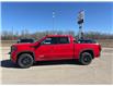 2025 GMC Sierra 1500 Elevation (Stk: 13786) in Roblin - Image 3 of 20