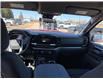 2025 GMC Sierra 1500 Elevation (Stk: 13786) in Roblin - Image 11 of 20
