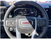 2025 GMC Sierra 1500 Elevation (Stk: 13786) in Roblin - Image 14 of 20