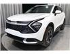 2025 Kia Sportage LX (Stk: 26164) in Edmonton - Image 7 of 19