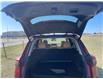 2021 Nissan Rogue Platinum (Stk: WP5104) in Pincher Creek - Image 6 of 19