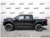 2025 Ford F-150 XLT (Stk: 250176) in Hamilton - Image 3 of 23