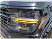 2025 Ford F-150 XLT (Stk: 250176) in Hamilton - Image 8 of 23